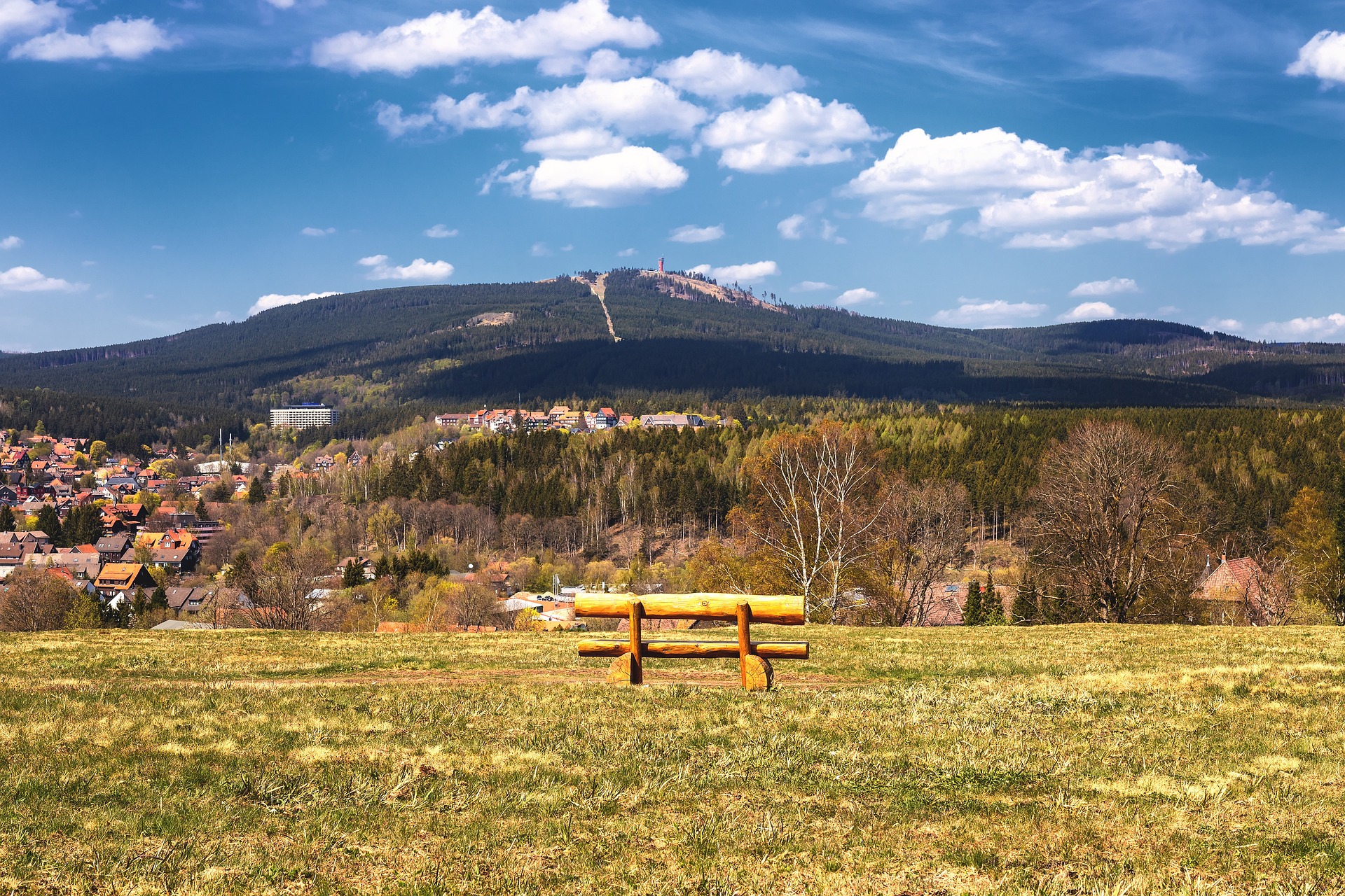 AdobeStock_237505370_Preview
